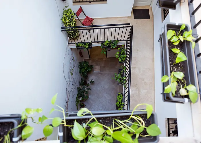 La Casa Morada Cadiz