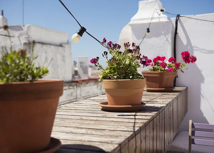 La Casa Morada Cádiz